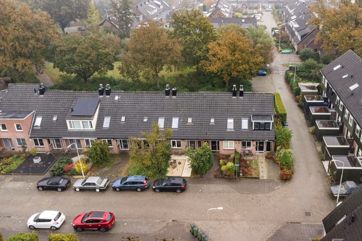 Foto 39 van Ganzerik 4