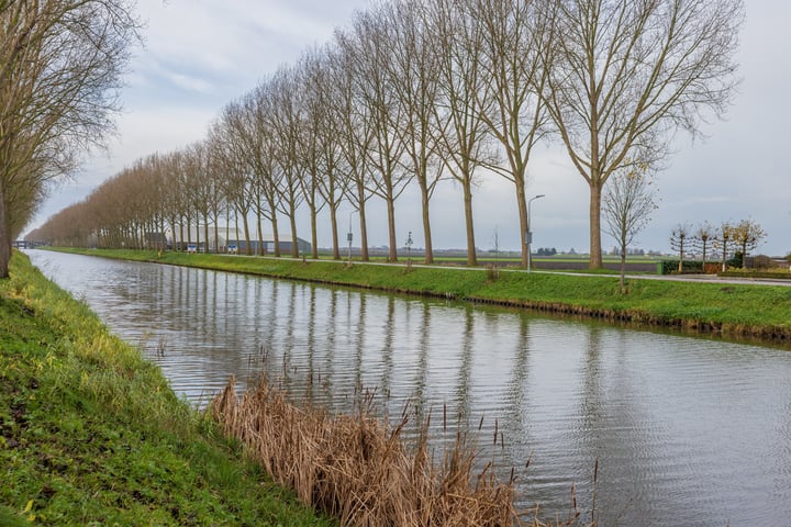 Bekijk foto 64 van Hoofdweg 1790