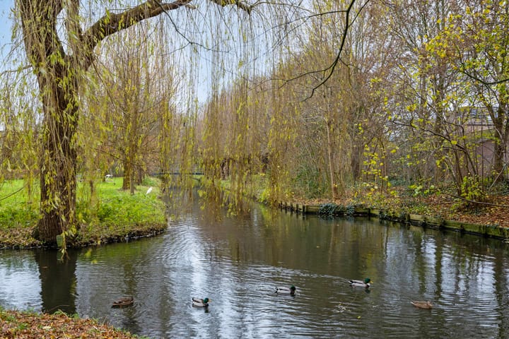 Foto 39 van Reinenweer 64