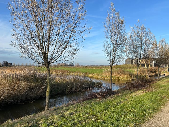 Foto 6 van Rietkade 3