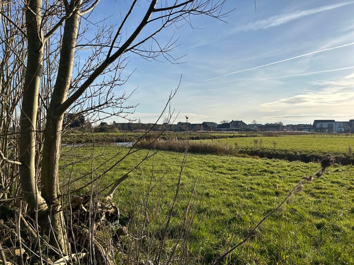 Foto 7 van Rietkade 3