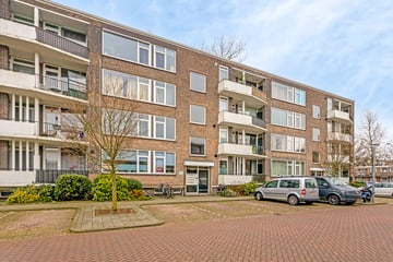 Stalpaertstraat thumbnail