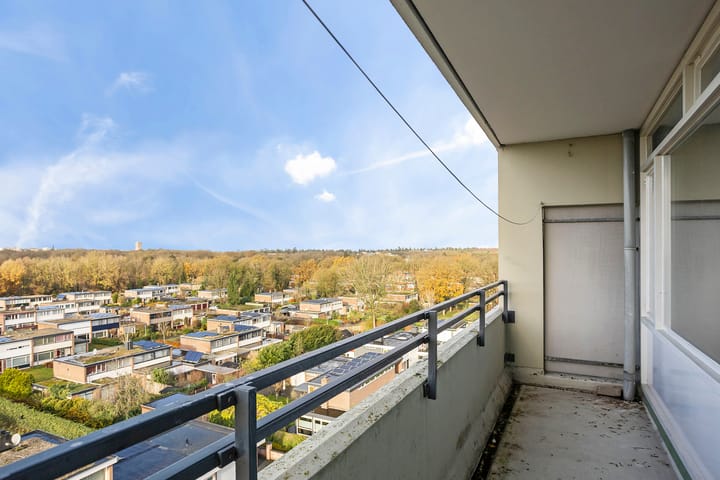 Foto 16 van Landschaplaan 24-A