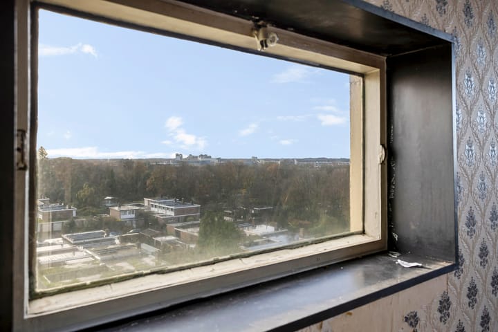 Foto 18 van Landschaplaan 24-A