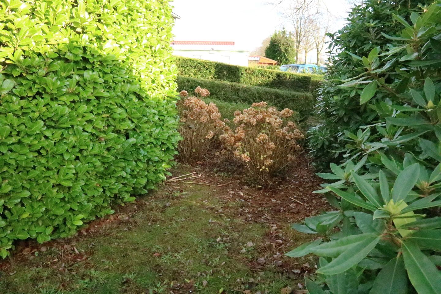 Foto 19 van Bosbesstraat 65