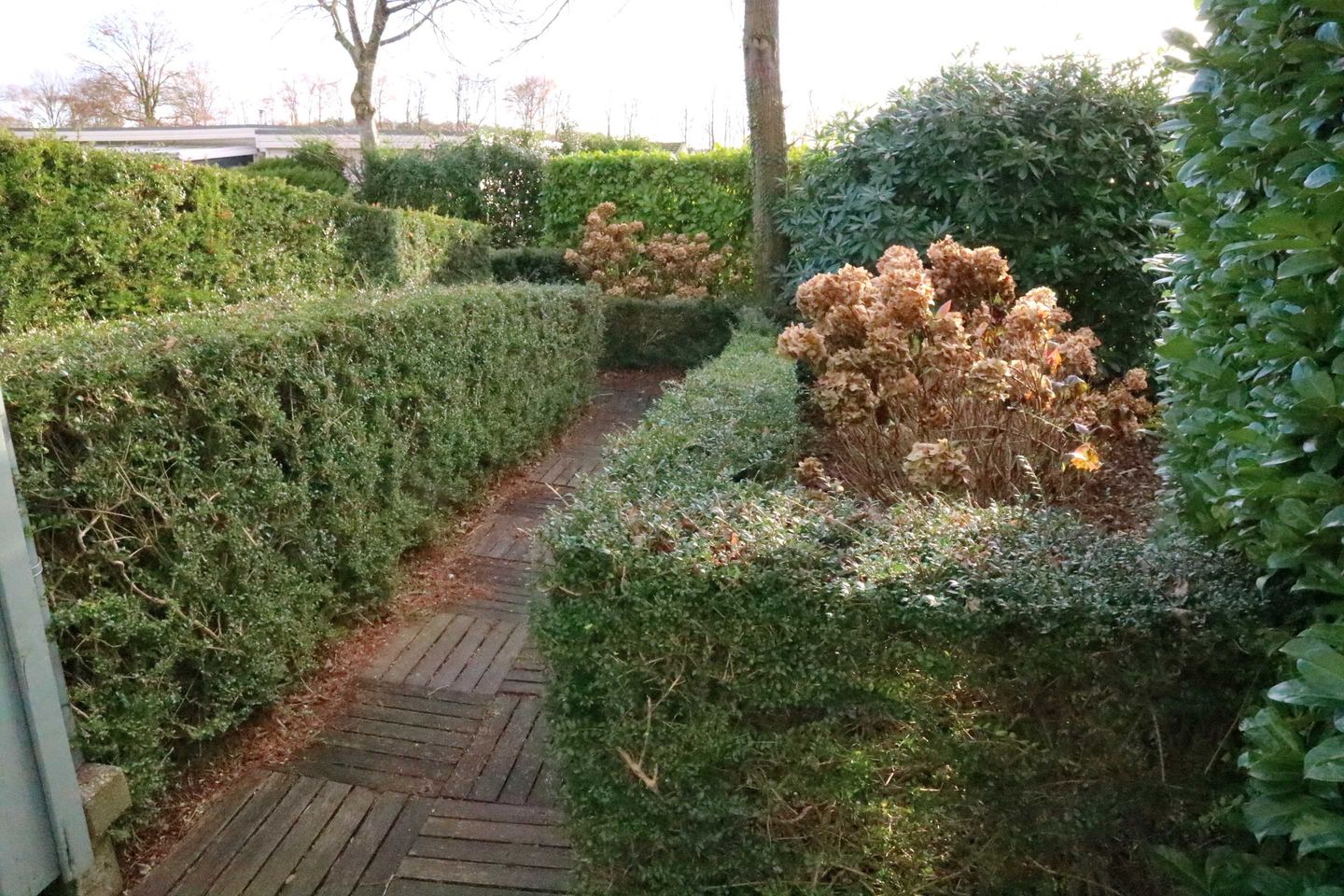 Foto 20 van Bosbesstraat 65