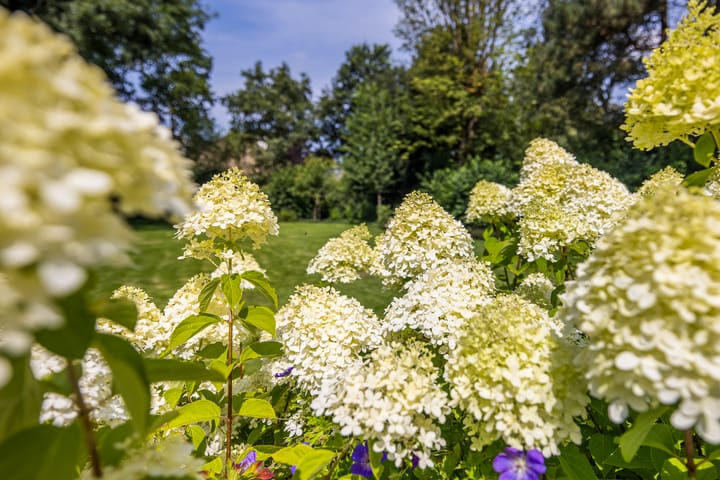 Photo 52 of Herenstraat 65