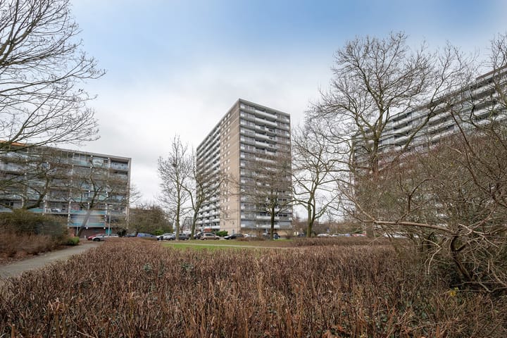 Foto 27 van Waddenstraat 313