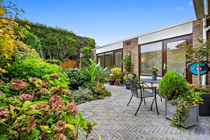 Foto 14 van Schout 5