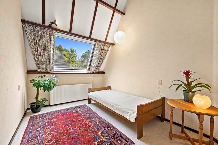 Foto 40 van Schout 5