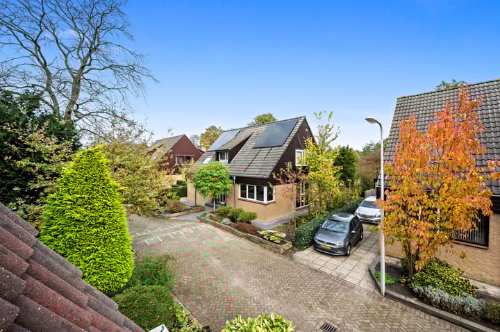 Foto 52 van Schout 5