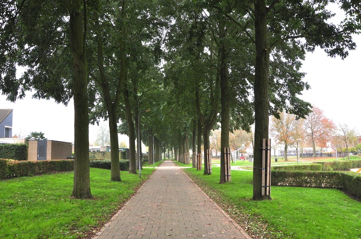 Foto 3 van Sneevliethof 32