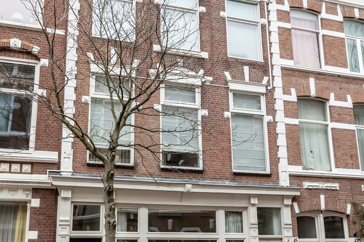 Bekijk foto 4 van Obrechtstraat 49