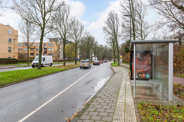 Bekijk foto 40 van Zwaluwstraat 290