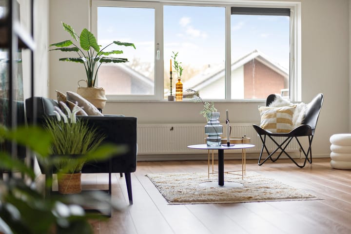 Photo 21 of Lieuwkemastraat 27