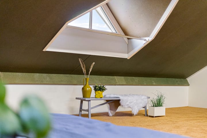 Photo 45 of Lieuwkemastraat 27