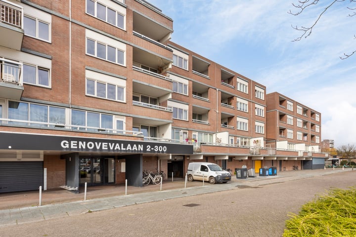 Bekijk foto 2 van Genovevalaan 224