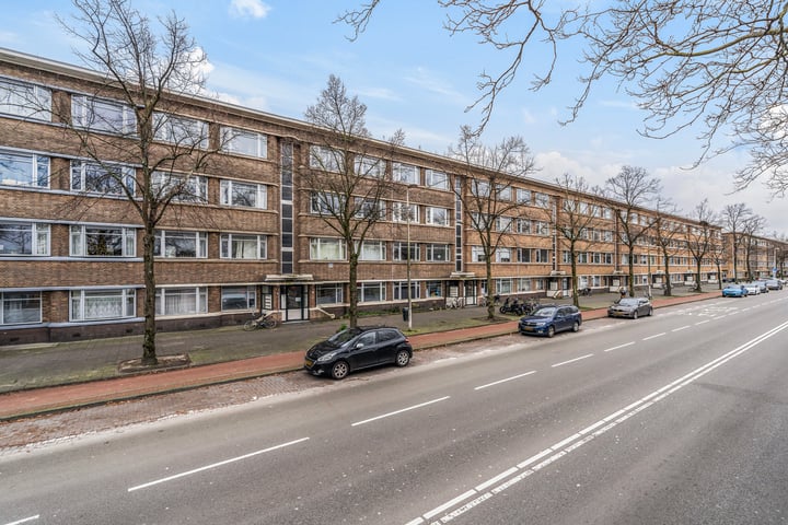 Bekijk foto 26 van Troelstrakade 413