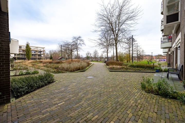 Bekijk foto 45 van Schouwburgplein 114