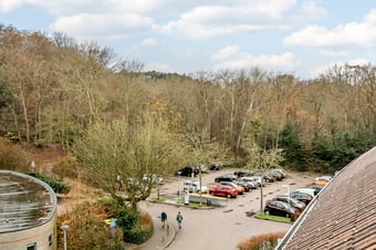 Roode Leeuw 26 tertiary image