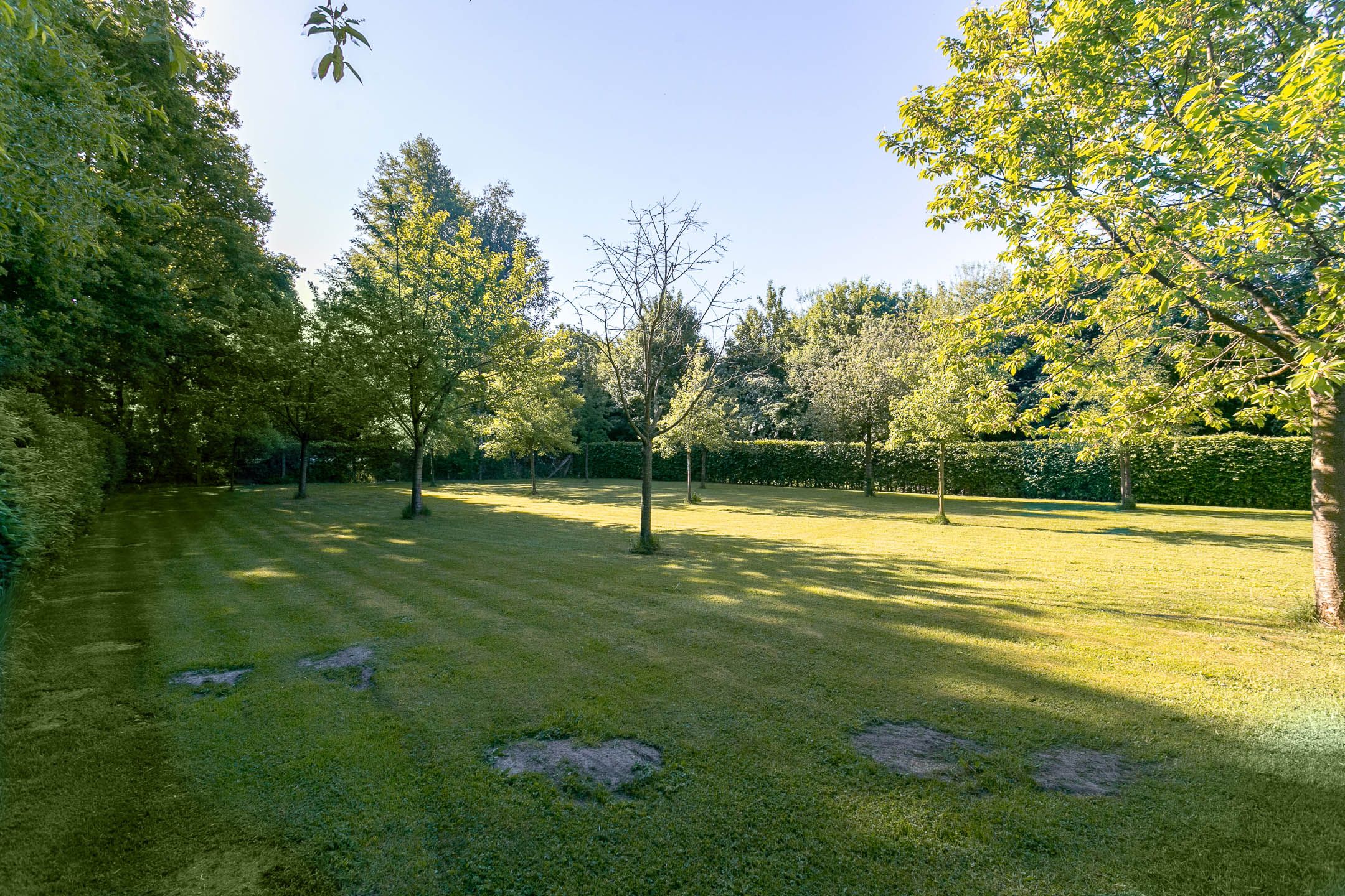 Foto 24 van De Flammert 1022