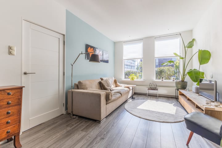 Foto 12 van Pieter Jelles Troelstralaan 101