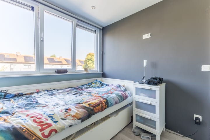 Foto 19 van Pieter Jelles Troelstralaan 101