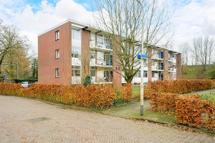 Foto 6 van Steijnlaan 88