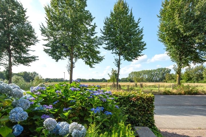 Foto 2 van Langvennen-Noord 125