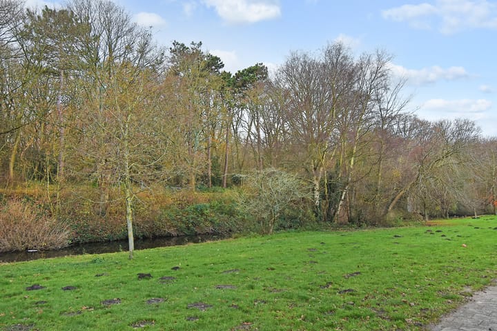 Foto 58 van Muurbloemweg 21