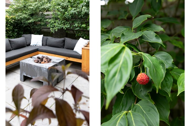 Foto 39 van Langvennen-Noord 125