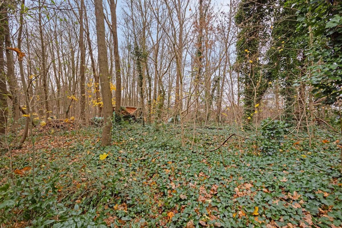 Photo 42 of Kitskensdal 14