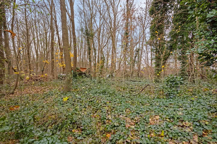 Foto 42 van Kitskensdal 14