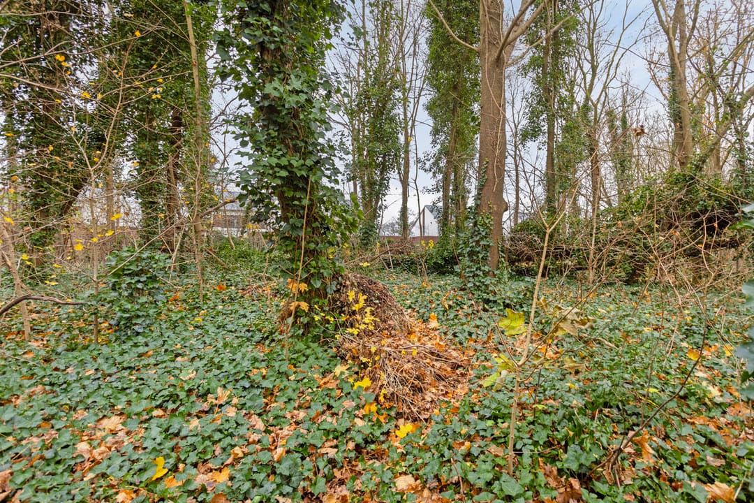 Photo 43 of Kitskensdal 14