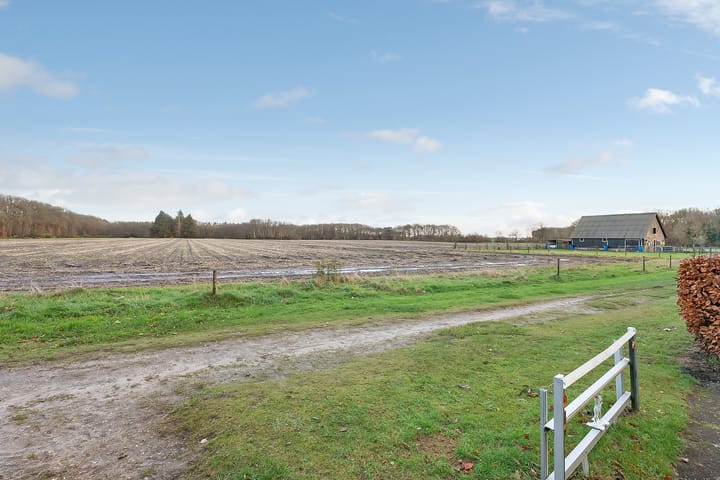 Foto 4 van Boslaan 51