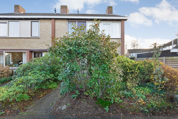 Foto 47 van Boslaan 51