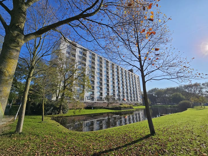 Foto 27 van Suze Groeneweglaan 73