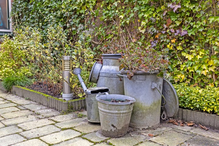 Foto 39 van Speenkruidstraat 35