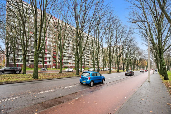 Bekijk foto 3 van Nieuwendamlaan 194