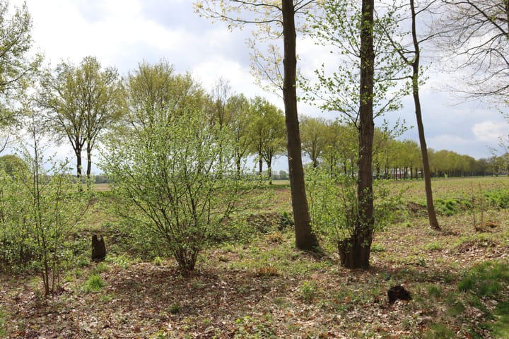 Photo 9 of Zwembadweg 2-W108