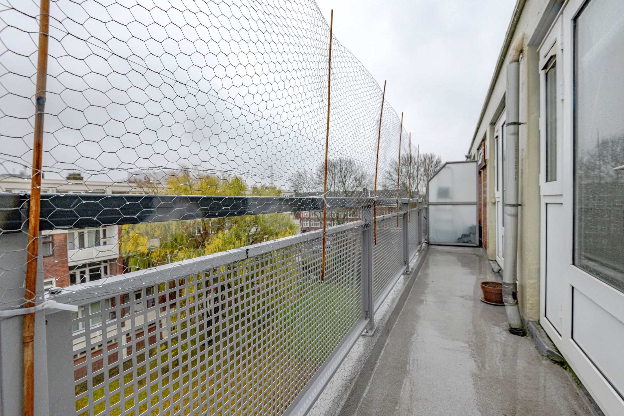 Foto 12 van Suiestraat 18-D