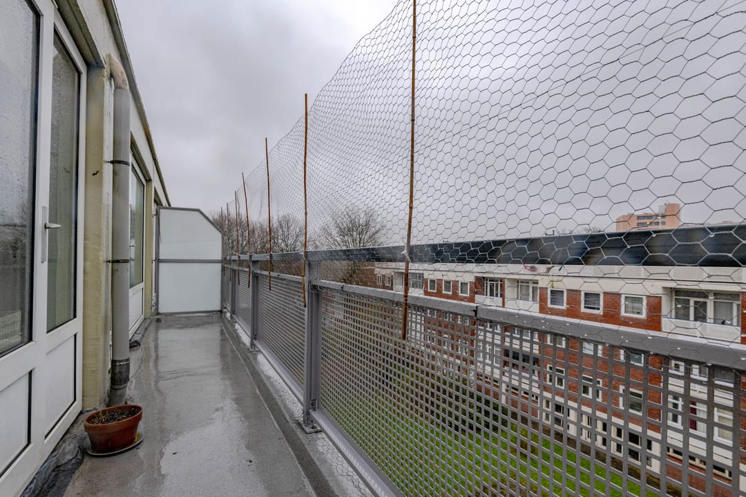 Foto 13 van Suiestraat 18-D