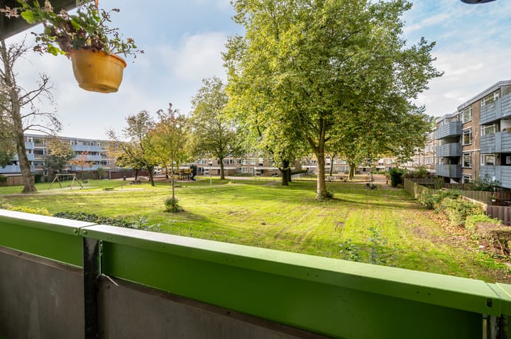 Photo 32 of Voordek 34