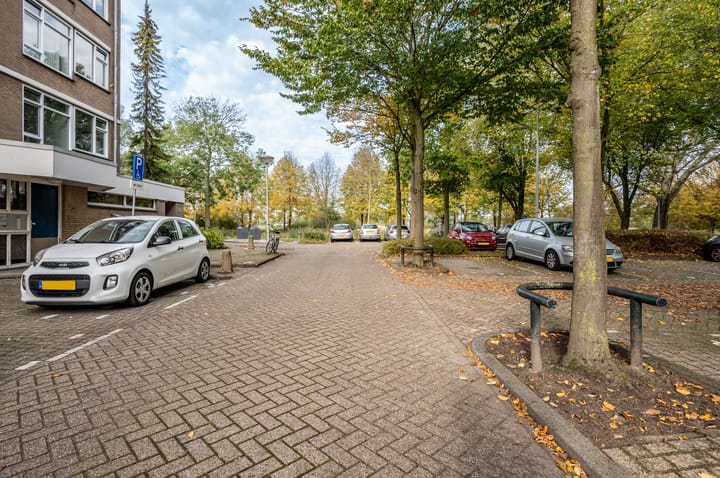 Photo 34 of Voordek 34