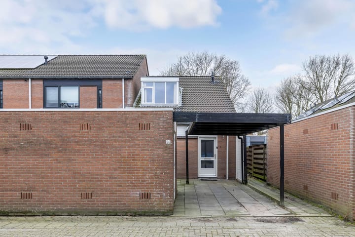 Foto 28 van Dovenetel 28