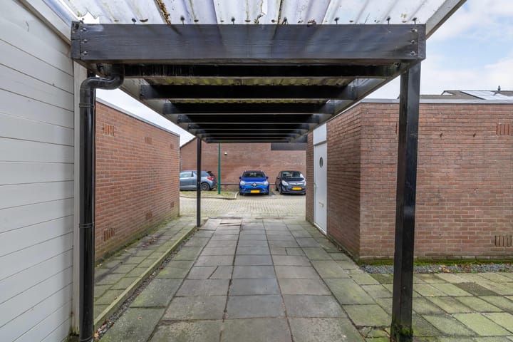 Foto 29 van Dovenetel 28