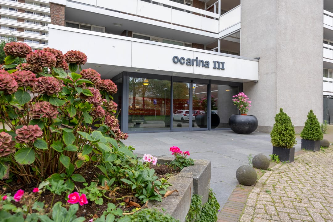 Foto 2 van Ocarinalaan 302