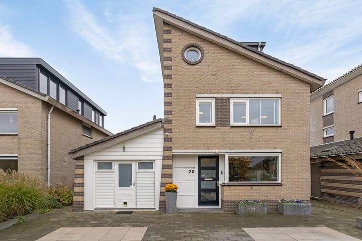 Photo 6 of Keizerfazant 20