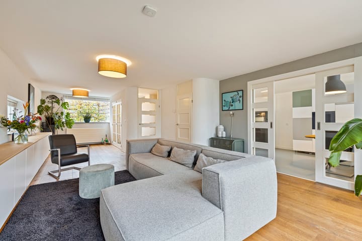 Photo 12 of Keizerfazant 20