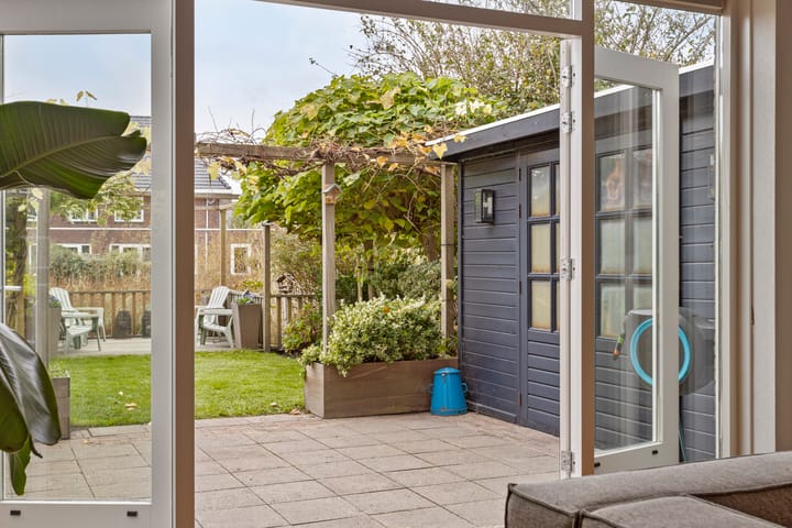 Photo 18 of Keizerfazant 20